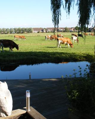 B&B-Edam