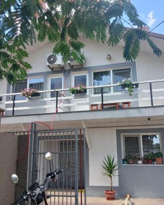 Vila Alexandra