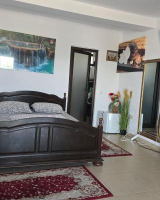 Casa Rico