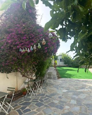 Hostl - Beds & Rooms - The Hostel Inn Paphos, Old Town