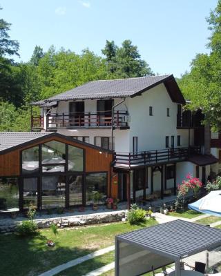 Moara Viselor