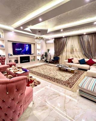 Luxurious apartment