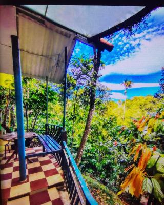 Munnar rooms and tent and hut stay