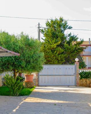 San Lorenzo Holiday