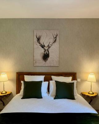 Chambre Forêt