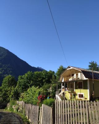 Green House Nakra