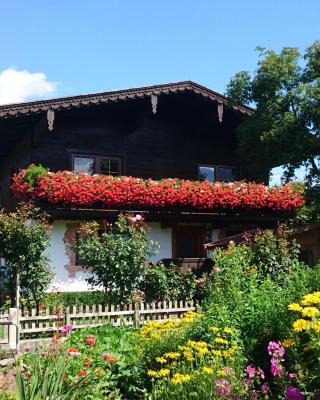 Schleicherhof IV