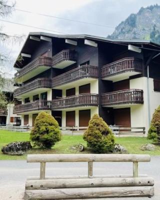 Appartement au pied des pistes