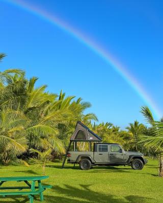 Embark on a journey through Maui with Aloha Glamp's jeep and rooftop tent allows you to discover diverse campgrounds, unveiling the island's beauty from unique perspectives each day