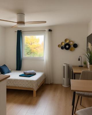 Studio vieux Avignon et Parking