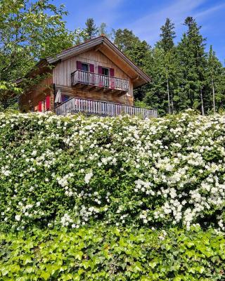Großes Ferienhaus mit 5 Schlafzimmer & 4 Bäder