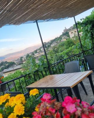 Tony's Terrace