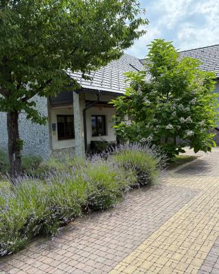 Villa Stone