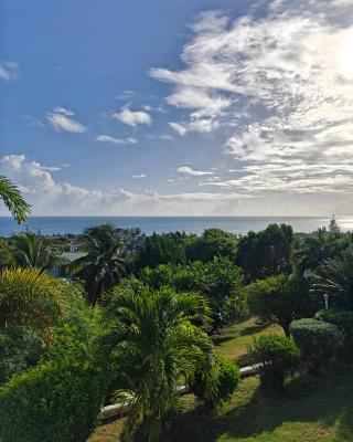 LaBelleVue Antigua Oceanview Suites and OnSite Car Rentals
