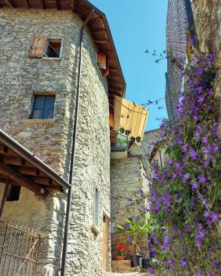 Rustico Lago di Como b&b