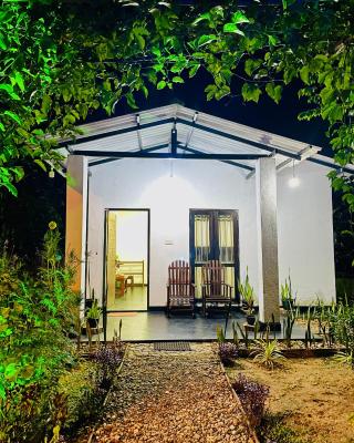 Banana Shade Cottage