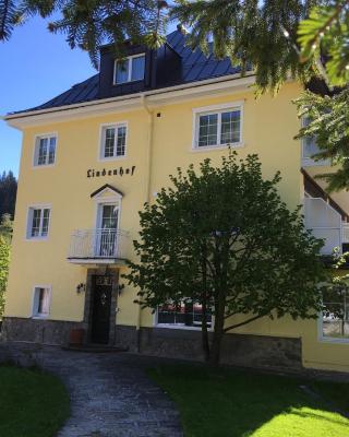 Hotel Lindenhof