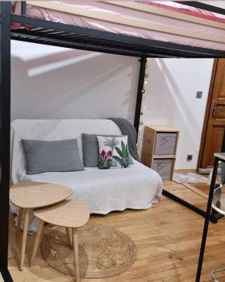 CHIC & MODERNE au coeur de la vie embrunaise