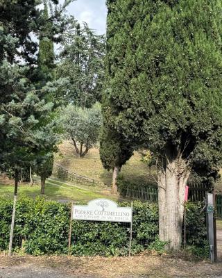 B&B Podere Cottimellino - Montalcino - Val d'Orcia