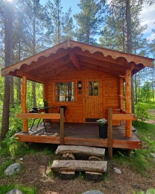 Tørfoss Gård, Hytte utleie, Campingvogn og bobil plasser