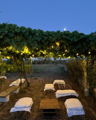 La Rondine bed and breakfast