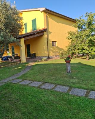Agriturismo Podere 329