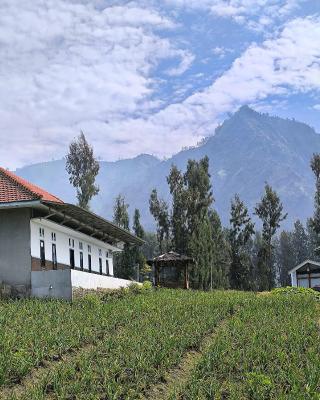Elen Homestay by ABM