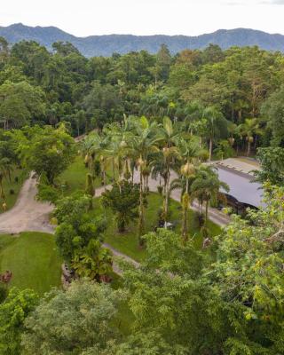 Daintree Siesta