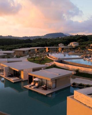 King Jason Zante – Designed for Adults