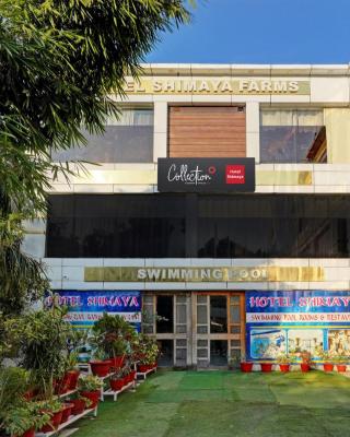 Capital O Shimaya