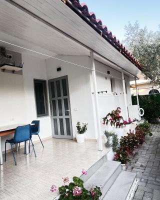 Mateo Villa Vlore