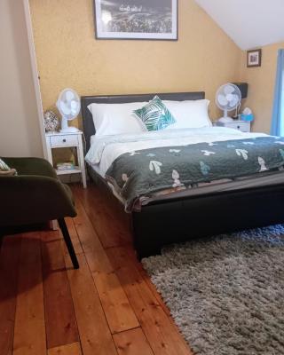 A Comfy Bedroom and Bathroom on own private top floor of a Home Stay 10 minutes Walk to the Ctr Free Parking