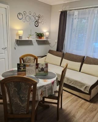 Silver Star Apartment