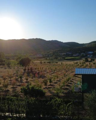 Orchard Guard Tower