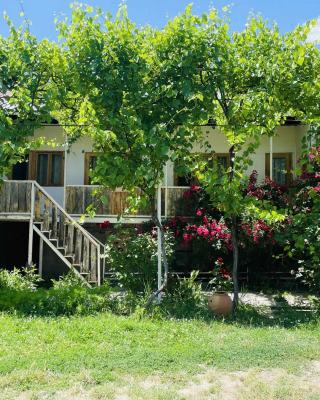 Guest House Aleksandre