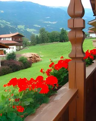 Apartments in Kaltenbach - Zillertal 751