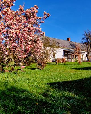 Gemütliche Landhauswohnung