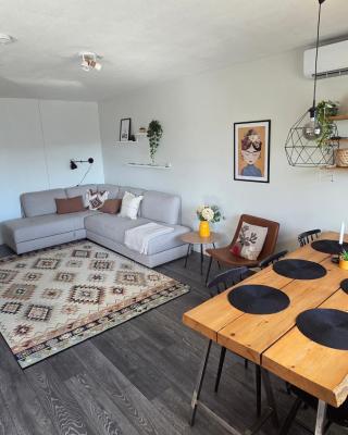 Big 88m2 apartment in the center