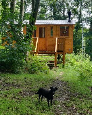 Peggy's Cabin in the Woods