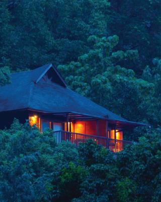 The Tamara Coorg