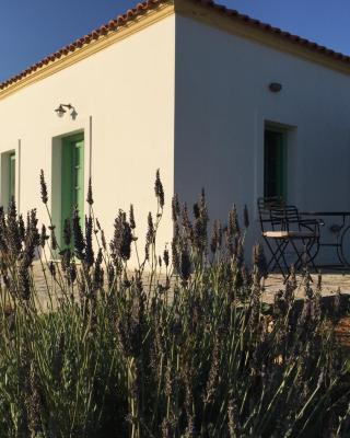 Villa Lemonia - Guest House
