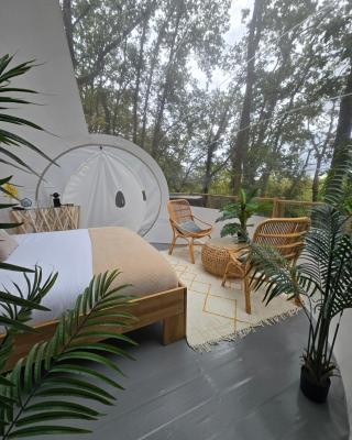 La bulle perchée de Chantilly