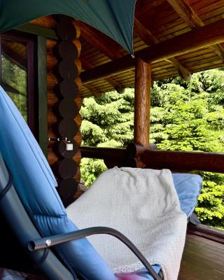 Cottage PolyaNitsa окремий котедж з каміном