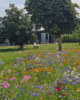 B&B Buutegeweun