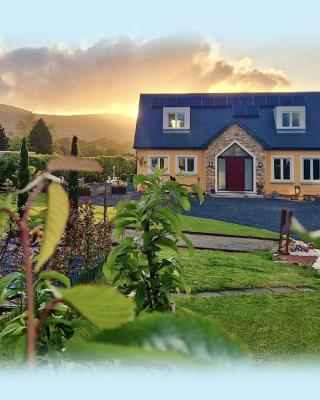 Mon Petit Cottage - B&B and House in Bunclody