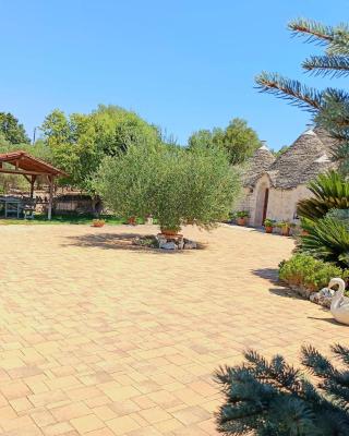 La Rosa dei Trulli B&B