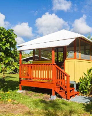 Kirpal Meditation and Ecological Center