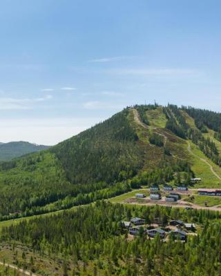 Gesundaberget Lodge & Parstugor