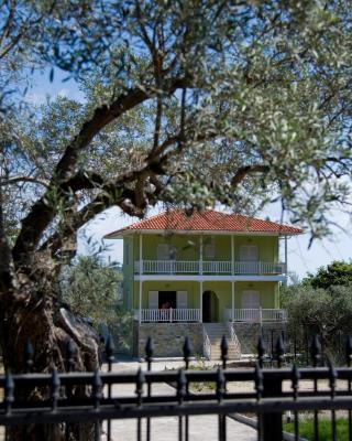 Olivegrove House
