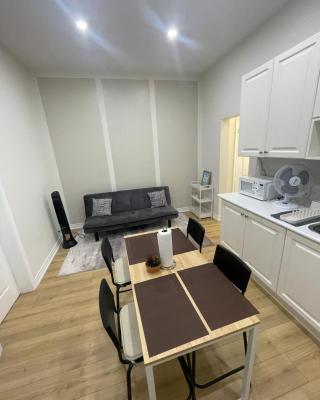 Bloor & Spadina Stay- WALK TO SUBWAY, EATON CENTRE, AND NIGHT LIFE